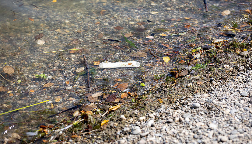 Die Wasserqualität am Breitenauer See wird regelmäßig getestet. Die Wasserqualität am Breitenauer See wird regelmäßig getestet.