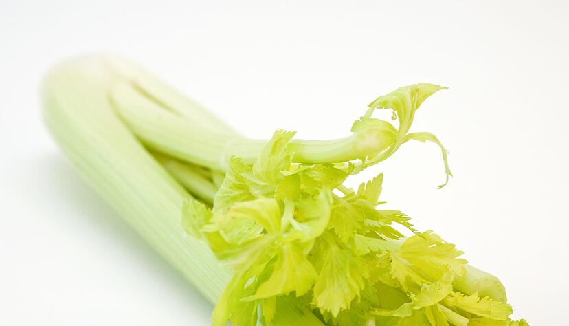 Staudensellerie ist vielseitig einsetzbar: Ob roh, gedünstet oder gebraten – das Gemüse passt zu Salat, Dip, Suppe oder Pasta. Staudensellerie ist vielseitig einsetzbar: Ob roh, gedünstet oder gebraten – das Gemüse passt zu Salat, Dip, Suppe oder Pasta.