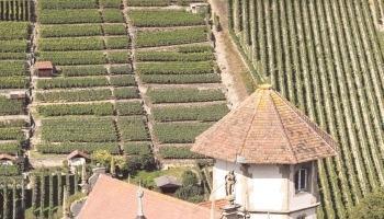 Die Kapelle am Rande der weitl&auml;ufigen Anlage ist eine der pr&auml;chtigsten weit und breit, zudem ein besonderes kunsthistorisches Kleinod.Fotos: Rolf Muth