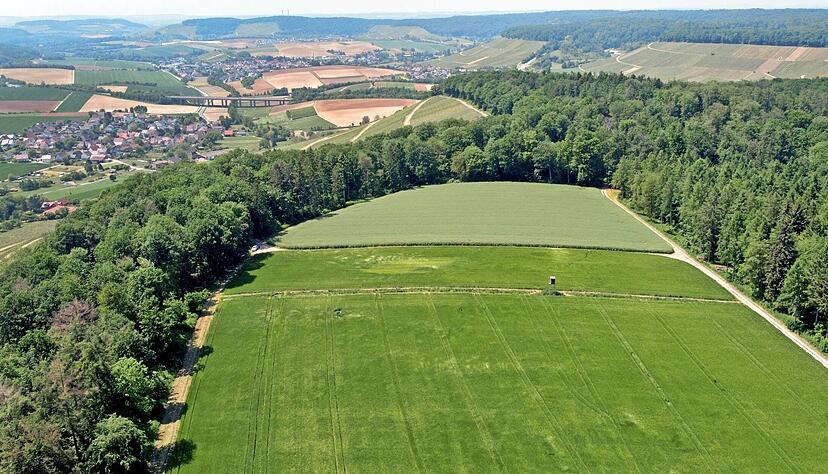 Auf rund fünf Hektar sollen auf der Ackerfläche des Bergfeldes Solarmodule installiert werden. Im Wald könnten außerdem zwei Windräder stehen. Auf rund fünf Hektar sollen auf der Ackerfläche des Bergfeldes Solarmodule installiert werden. Im Wald könnten außerdem zwei Windräder stehen.