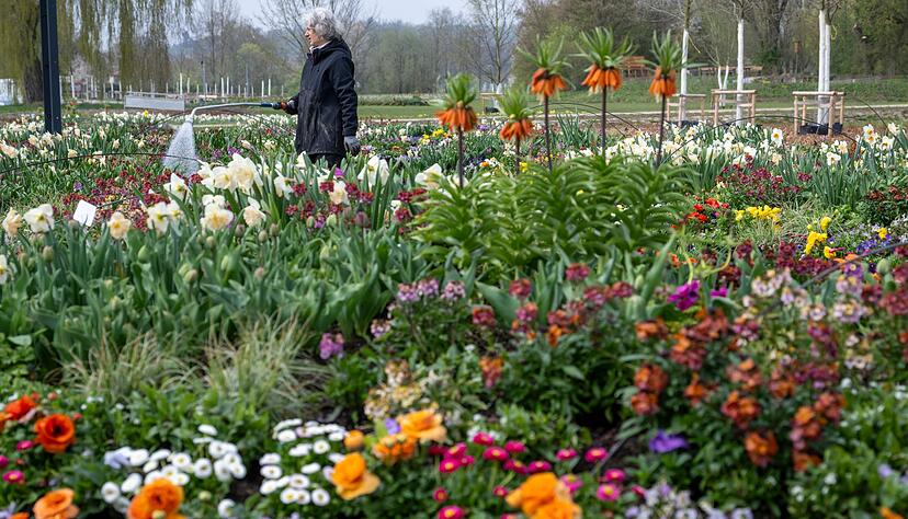 Es gr&uuml;nt und bl&uuml;ht rechtzeitig f&uuml;r die Landesgartenschau.