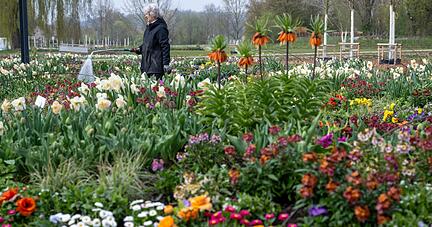 Es gr&uuml;nt und bl&uuml;ht rechtzeitig f&uuml;r die Landesgartenschau.