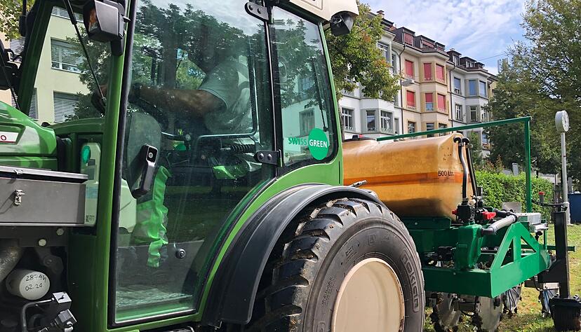 In Basel wurden bereits 2024 Fadenw&uuml;rmer eingesetzt. (Archivbild)