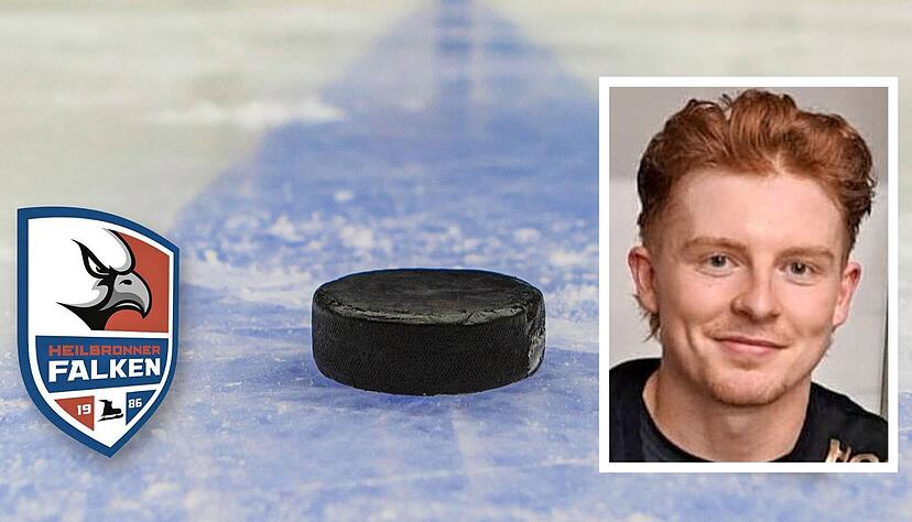 Calder Anderson kommt zu den Heilbronner Falken.