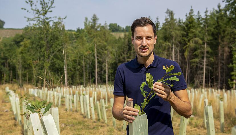 Patrick Halbauer zeigt einen Setzling: Auf dieser rund 1,2 Hektar großen Fläche im Obersulmer Walddistrikt Asang wird vor allem mit Eiche, Hainbuche und Winterlinde aufgeforstet. Vorher standen hier Fichten.
Fotos: Christiana Kunz Patrick Halbauer zeigt einen Setzling: Auf dieser rund 1,2 Hektar großen Fläche im Obersulmer Walddistrikt Asang wird vor allem mit Eiche, Hainbuche und Winterlinde aufgeforstet. Vorher standen hier Fichten.
Fotos: Christiana Kunz