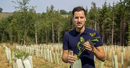 Patrick Halbauer zeigt einen Setzling: Auf dieser rund 1,2 Hektar großen Fläche im Obersulmer Walddistrikt Asang wird vor allem mit Eiche, Hainbuche und Winterlinde aufgeforstet. Vorher standen hier Fichten.
Fotos: Christiana Kunz Patrick Halbauer zeigt einen Setzling: Auf dieser rund 1,2 Hektar großen Fläche im Obersulmer Walddistrikt Asang wird vor allem mit Eiche, Hainbuche und Winterlinde aufgeforstet. Vorher standen hier Fichten.
Fotos: Christiana Kunz