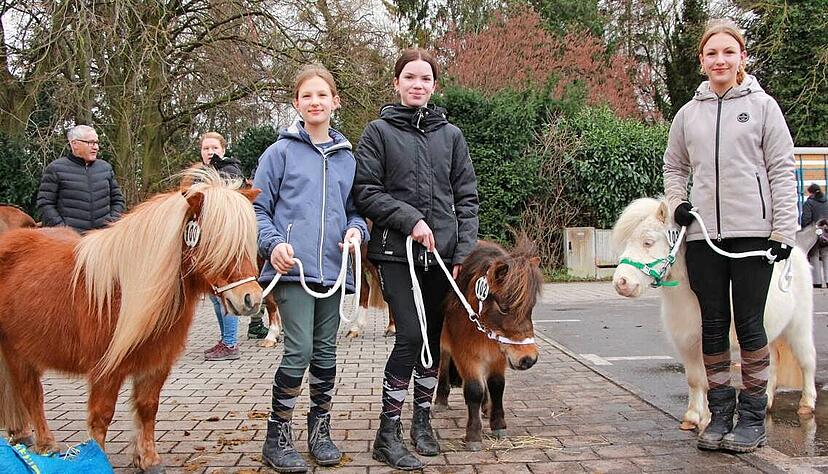 Auch die Kleinsten bekommen ihren großen Auftritt im Ring: Hier die Ponys von den Hohenloher Ebene Shettys. Auch die Kleinsten bekommen ihren großen Auftritt im Ring: Hier die Ponys von den Hohenloher Ebene Shettys.
