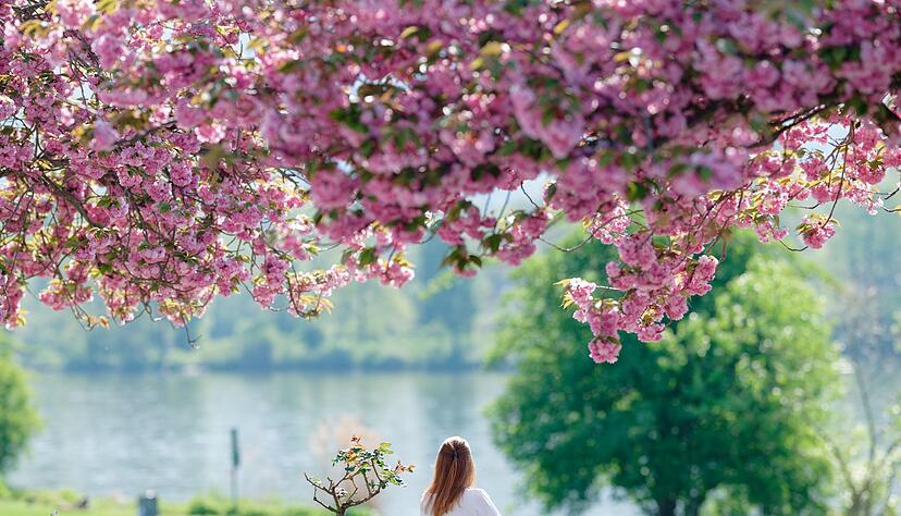 Wer Sonne tanken will, sollte schnell raus. (Archivbild)