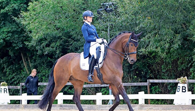 Hoch konzentriert im Dressurviereck: Carina Harnisch auf Francis. Dass sie ihren Sieg in der S*-Pr&uuml;fung am Ende mit Andrea Dlugos teilen musste, tr&uuml;bte die Stimmung der Lokalmatadorin vom RFV &Ouml;hringen keineswegs.
Fotos: MarcSchmerbeck