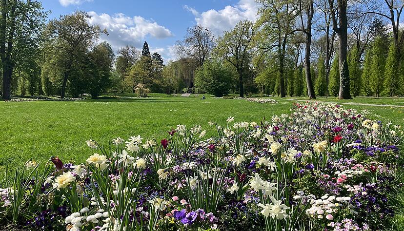H&uuml;bsch bepflanzt, schm&uuml;cken die Beete den Hofgarten. Der wird den Sommer &uuml;ber den Rahmen f&uuml;r viele Veranstaltungen bilden. Die Stadt feiert, dass vor zehn Jahren die Landesgartenschau ausgerichtet wurde.