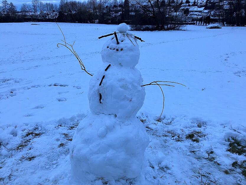 Lange wird dieser Schneemann in Auenheim wohl nicht &uuml;berleben. In den n&auml;chsten Tagen ist Regen vorhergesagt.