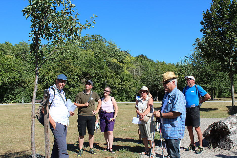 Lesersommer Mostbirnenweg Lesersommer Mostbirnenweg