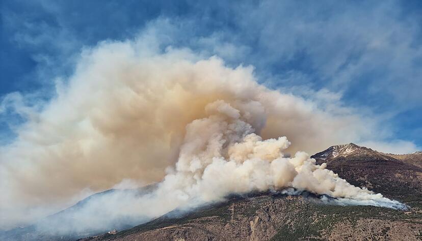 Der Brand war am Donnerstag oberhalb von Latsch im Vinschgau ausgebrochen. Der Brand war am Donnerstag oberhalb von Latsch im Vinschgau ausgebrochen.