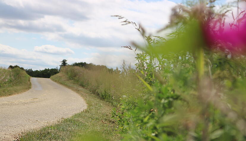 Ein Gro&szlig;teil der Strecke verl&auml;uft auf offenen Wegen, vorbei an Wiesen, W&auml;ldern und Feldern.