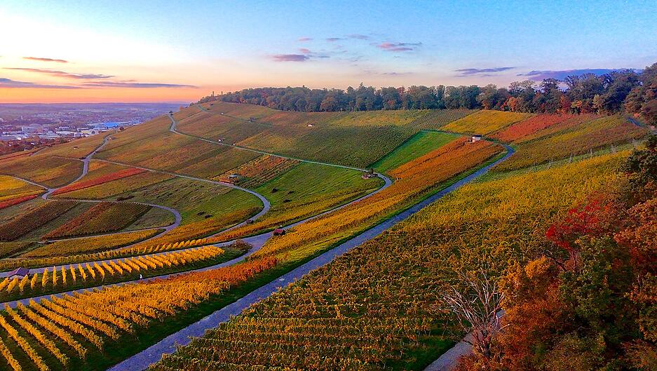 Die Weinberge rund um Heilbronn in herbstlichem Kleid.