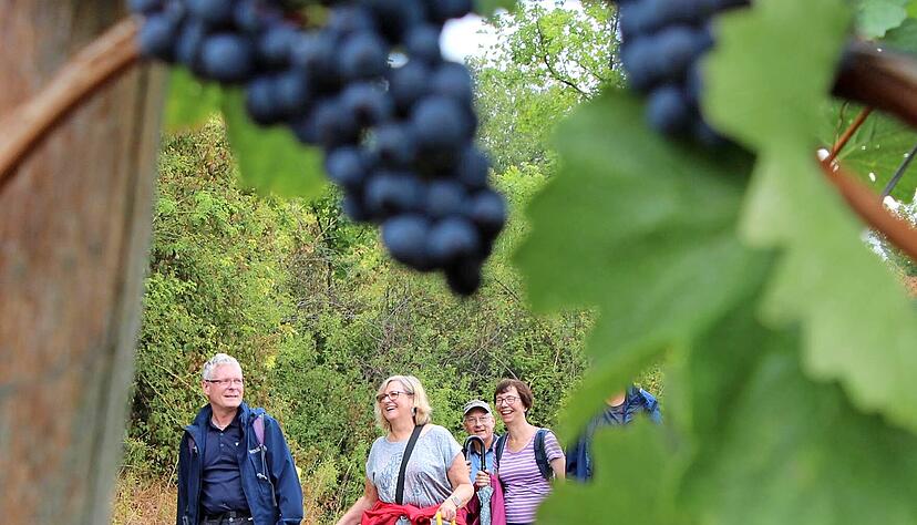 In den Weinbergen spazierte es sich wunderbar idyllisch.