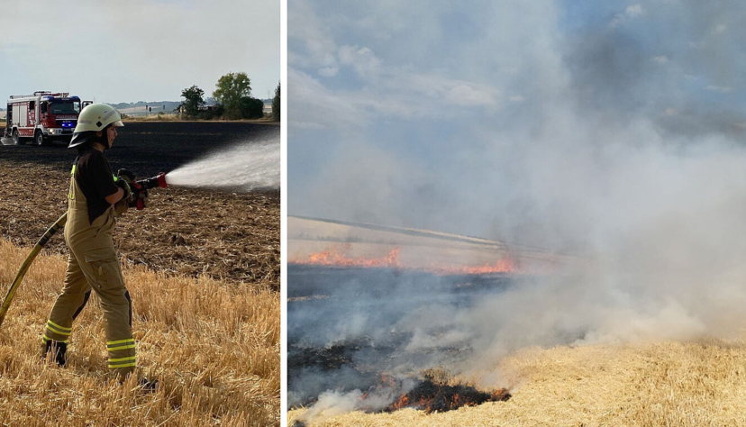 Feuerwehren in der Region sind zurzeit im Dauereinsatz. Erst am Dienstagabend brannten einige Felder in der Region Heilbronn.