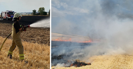 Feuerwehren in der Region sind zurzeit im Dauereinsatz. Erst am Dienstagabend brannten einige Felder in der Region Heilbronn.