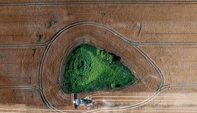 Die Agrarwirtschaft bef&uuml;rchtet, dass Landwirte k&uuml;nftig weniger EU-Geld bekommen. (Archivbild)