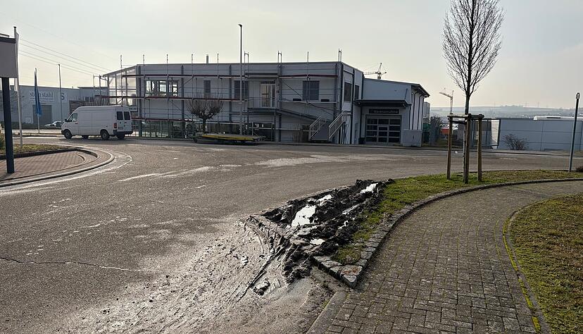 Der Gr&uuml;nstreifen in der Benzstra&szlig;e besteht teils nur noch aus Matsch. Das st&auml;dtische Ordnungsamt r&uuml;ckte an, um den Schaden zu begutachten.