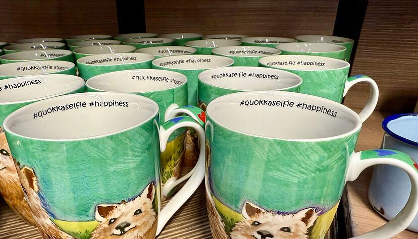 Überall gibt es Souvenirs mit Quokka-Motiv zu kaufen. Überall gibt es Souvenirs mit Quokka-Motiv zu kaufen.