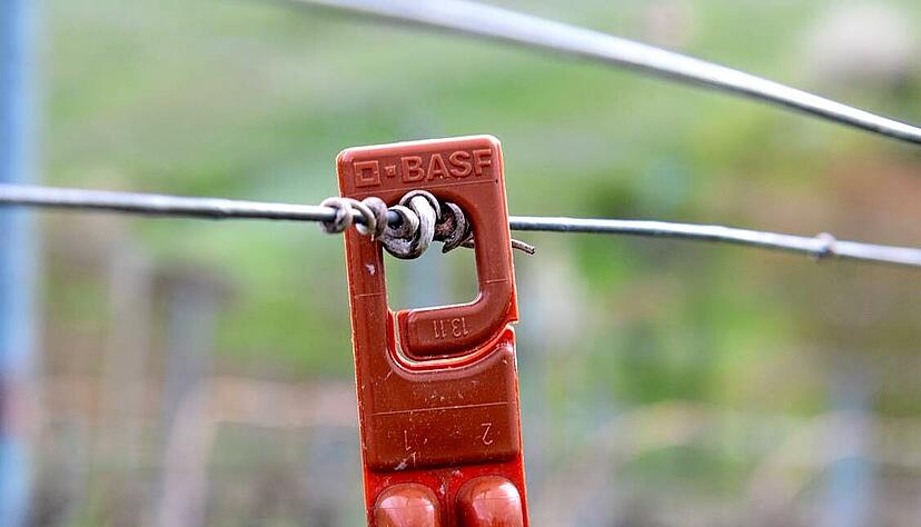 Solchen Ampullen verstr&ouml;men D&uuml;fte, die Falter so sehr verwirren, dass sie keinen Partner finden. Die Methode wurde nun zum Opfer der B&uuml;rokratie.
Foto: Mario Berger