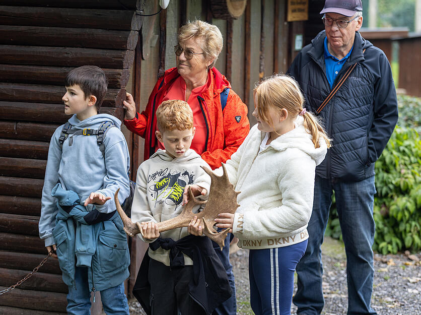 Besucher bei der Hirschbrunft im Wildparadies Tripsdrill.