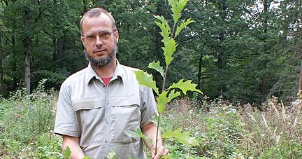 Ist begeistert vom Wuchserfolg bei jungen Eichen: Immanuel Schmutz auf einer Fl&auml;che am Schweinsberg. Schulklassen betreuen hier einzelne Parzellen.
Foto: Friese