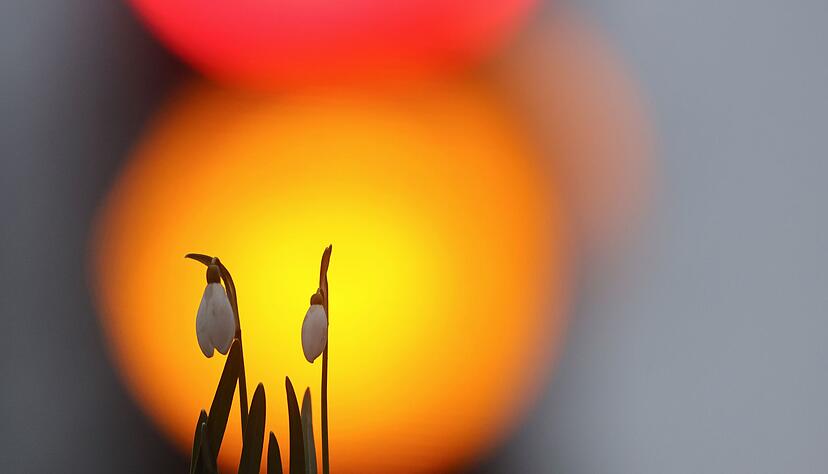 Das Wetter sieht gut aus f&uuml;r die Umz&uuml;ge der n&auml;chsten Tage.