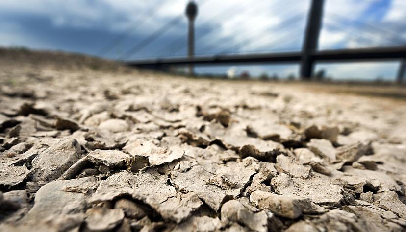 Der Mai war der zweitwärmste, der bisher gemessen wurde (Archivbild). Der Mai war der zweitwärmste, der bisher gemessen wurde (Archivbild).