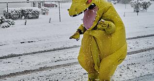 M&uuml;ssen Faschingsfans in diesem Jahr mit Schnee rechnen?