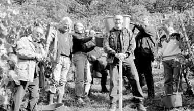 Landrat Klaus Czernuska (Mitte) bewährte sich bei der Prominentenweinlese im Brackenheimer Zweifelberg einmal mehr als Buttenträger. (Foto: Gerhard Dubinyi) Landrat Klaus Czernuska (Mitte) bewährte sich bei der Prominentenweinlese im Brackenheimer Zweifelberg einmal mehr als Buttenträger. (Foto: Gerhard Dubinyi)
