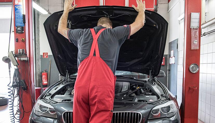 Komm raus, Marder! Wenn der Schaden erkannt wurde, ist der pelzige Verursacher meist schon &uuml;ber alle Berge. Besser ist vorzusorgen.