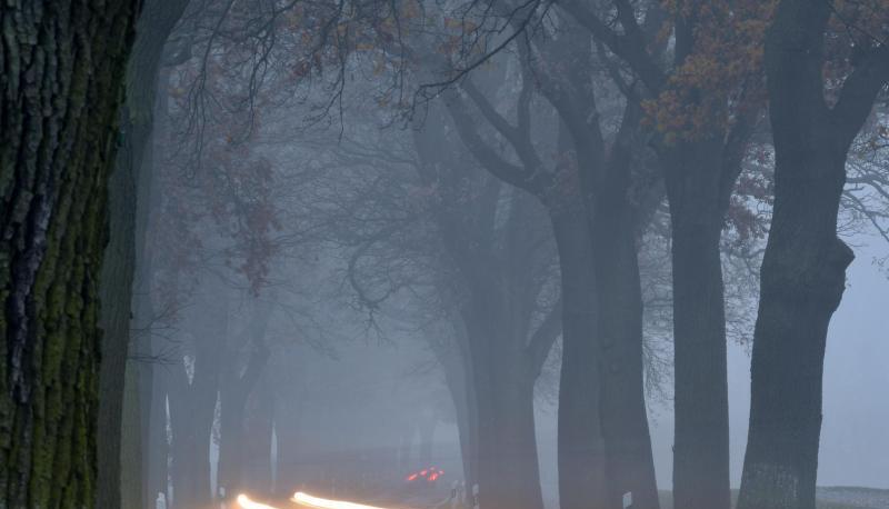 Mit H7-Lampen geben Scheinwerfer in der Regel ein stärkeres Licht ab als mit H4-Leuchtmitteln.