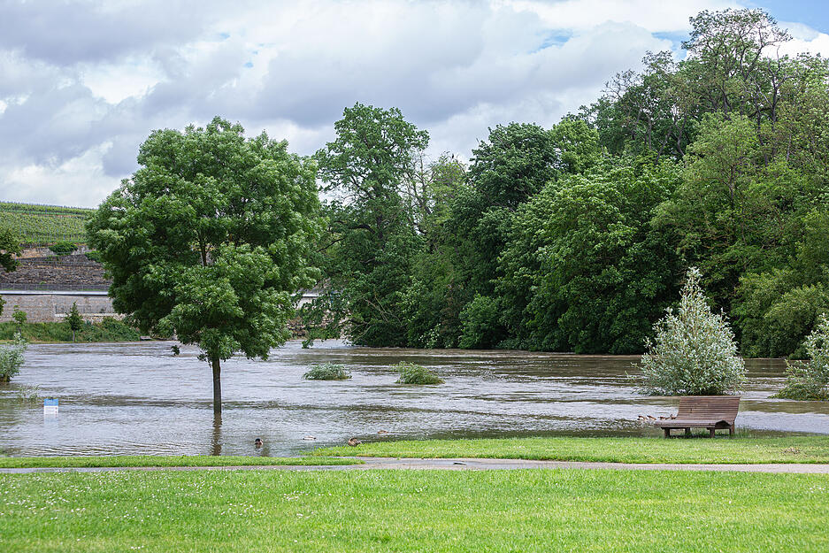 Der Neckar trat stellenweise über seine Ufer.