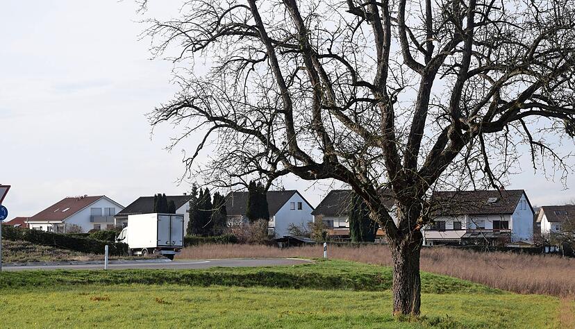 Bald stehen im Baugebiet "Metzgersrain" nicht nur neue Wohnh&auml;user, hier im oberen Teil siedelt sich auch ein Rossmann-Drogeriemarkt an.
Foto: Gabriele Schneider