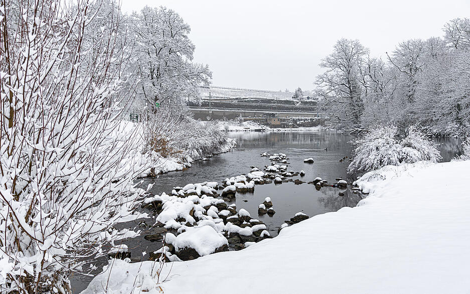 Entlang des Neckars in Lauffen zeigt sich die Schneepracht wie in einem Winterwunderland. Entlang des Neckars in Lauffen zeigt sich die Schneepracht wie in einem Winterwunderland.