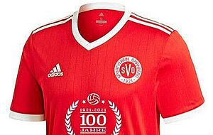 Jubiläumstrikot
Foto: privat Jubiläumstrikot
Foto: privat