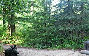 Hase, Wildschwein und Co., aus Holz geschnitzt, laden zum drauf Reiten ein.