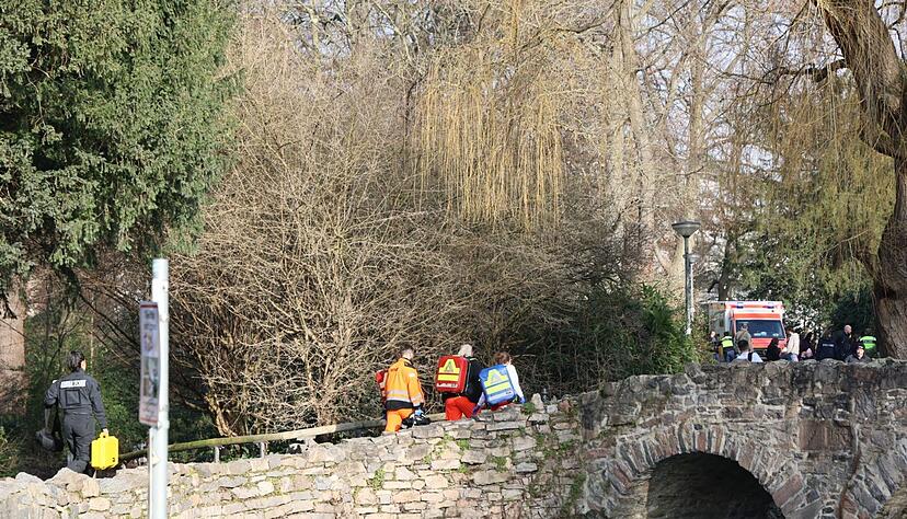 Die Menschen wurden im Park Schöntal angegriffen. (Archivbild) Die Menschen wurden im Park Schöntal angegriffen. (Archivbild)