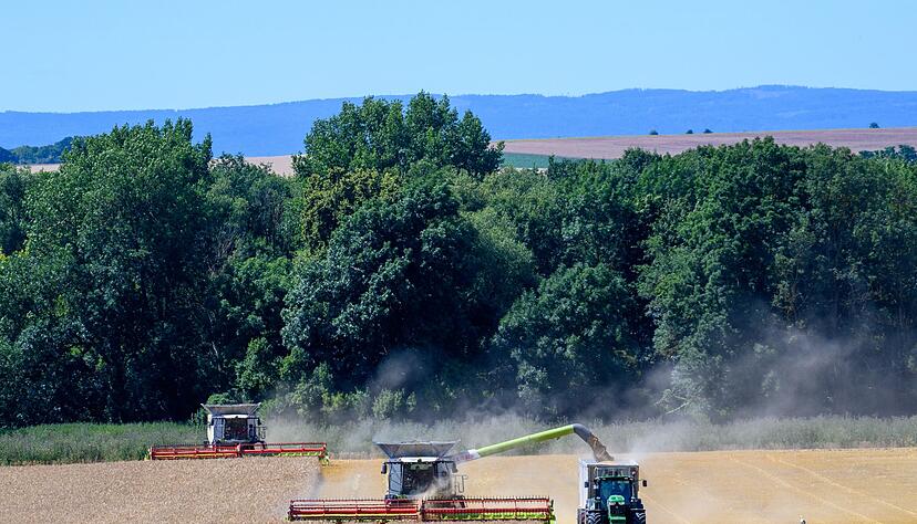 Zu viel Regen beeinträchtigt die Erwartungen an die Ernte 2024. (Archivbild)
