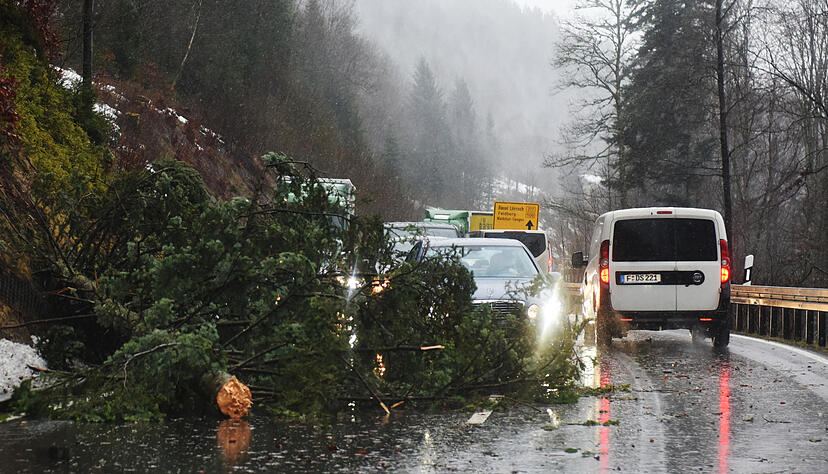 Ein umgekippter Baum auf der B317 am Feldberg im Schwarzwald. Auch der Schienenverkehr ist durch die Sturmfolgen beeinträchtigt. Foto: dpa Ein umgekippter Baum auf der B317 am Feldberg im Schwarzwald. Auch der Schienenverkehr ist durch die Sturmfolgen beeinträchtigt. Foto: dpa