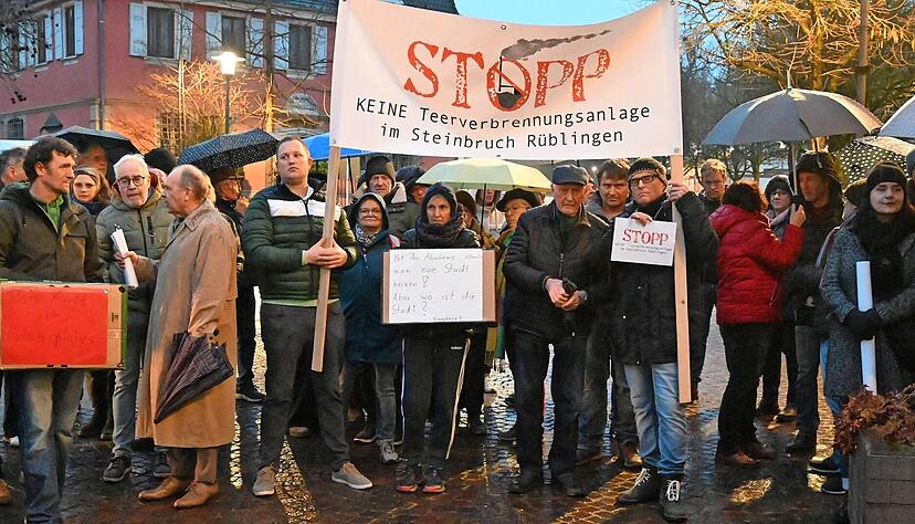 Vor den Rathaust&uuml;ren versammelten sich am Dienstagabend Demonstranten. Im Rat wurde &uuml;ber die Asphalt-Recycling-Anlage diskutiert.