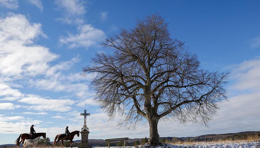 Ritt durch die K&auml;lte: Auch sonst beherrschte der Frost den S&uuml;dwesten.