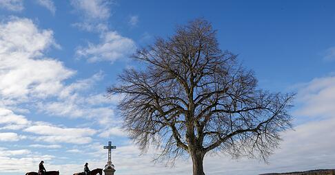 In den ersten Januartagen zeigt sich die Region Heilbronn und Hohenlohe winterlich. In den ersten Januartagen zeigt sich die Region Heilbronn und Hohenlohe winterlich.