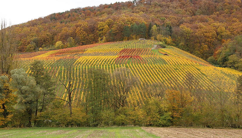 Schöne Landschaft und bisher eine gute Infrastruktur: Die Zukunft in der Gemeinde gestalten, darum geht es in dem Zukunftsprojekt. Foto: Ludwig Schöne Landschaft und bisher eine gute Infrastruktur: Die Zukunft in der Gemeinde gestalten, darum geht es in dem Zukunftsprojekt. Foto: Ludwig