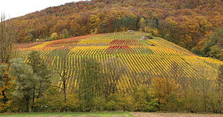 Schöne Landschaft und bisher eine gute Infrastruktur: Die Zukunft in der Gemeinde gestalten, darum geht es in dem Zukunftsprojekt. Foto: Ludwig