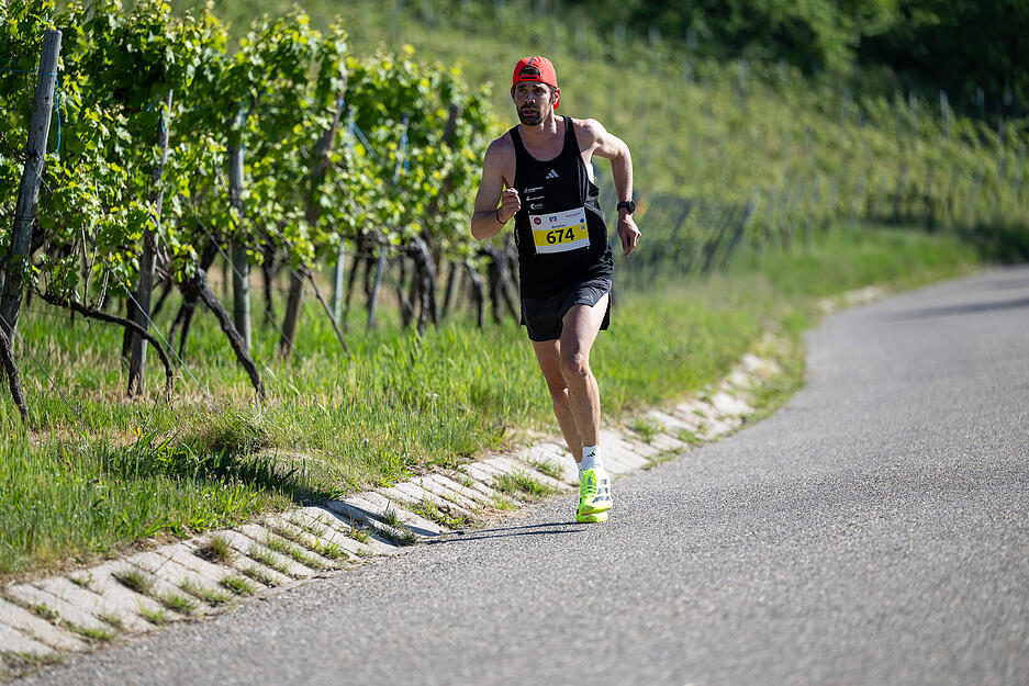 Der Trollinger-Marathon führt die Läufer auch um die Weinberge in Heilbronns Umgebung. Der Trollinger-Marathon führt die Läufer auch um die Weinberge in Heilbronns Umgebung.