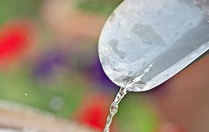 Regentonne können zur Brutstätte von stechmücken werden.
Foto: IngoBartussek/stock.adobe.com Regentonne können zur Brutstätte von stechmücken werden.
Foto: IngoBartussek/stock.adobe.com