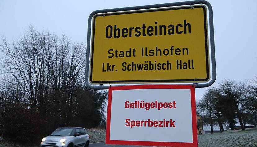Von hier ging die Geflügelpest-Gefahr aus: Sperrbezirk-Schild am Ortsschild von Obersteinach (Kreis Schwäbisch Hall), ganz in der Nähe von Ruppertshofen, wo es Fälle der Geflügelpest in einem Putenmaststall gab. Von hier ging die Geflügelpest-Gefahr aus: Sperrbezirk-Schild am Ortsschild von Obersteinach (Kreis Schwäbisch Hall), ganz in der Nähe von Ruppertshofen, wo es Fälle der Geflügelpest in einem Putenmaststall gab.